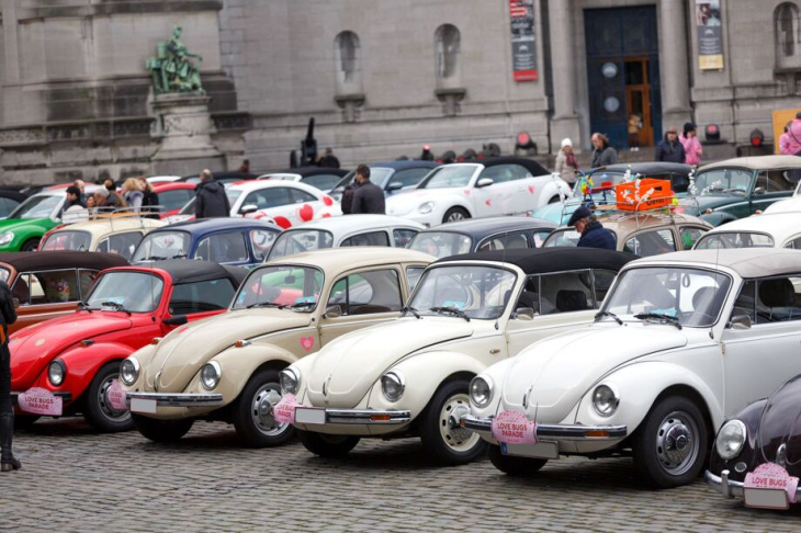 love bugs parade viert 75 jaar kever in belgië
