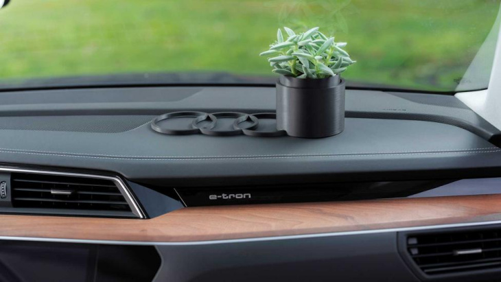 oeps: de nieuwste optie van audi is een plantje voor op de airbag