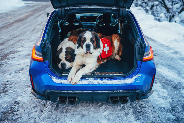 bmw m3 touring review: hoe goed is ie in de sneeuw? en met honden?