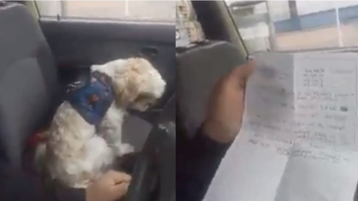 taxichauffeur denkt dat passagier zijn hond vergeten is, maar dan vindt hij een hartbrekend briefje (video)