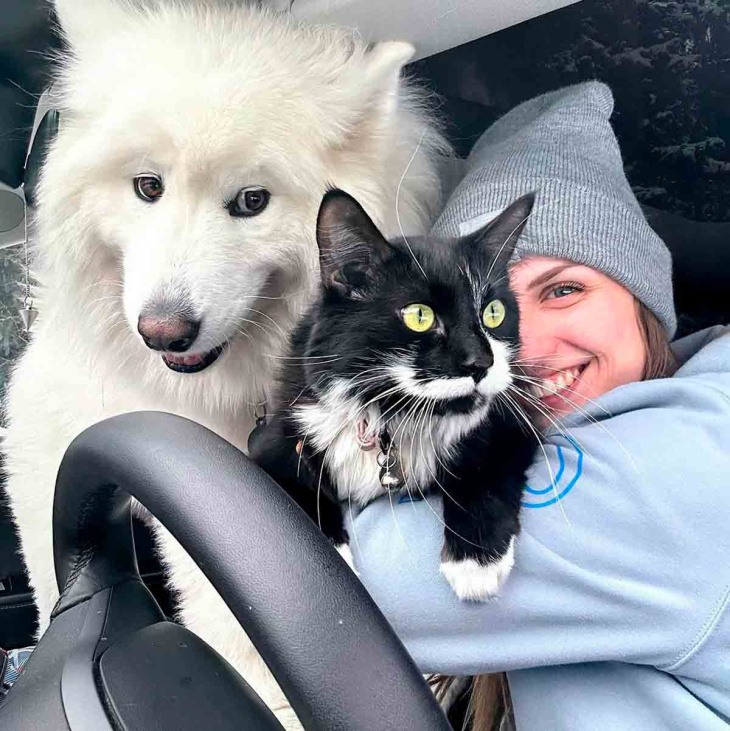 video: vrouw woont met hond en kat in tesla auto en deelt dagelijks leven op tiktok